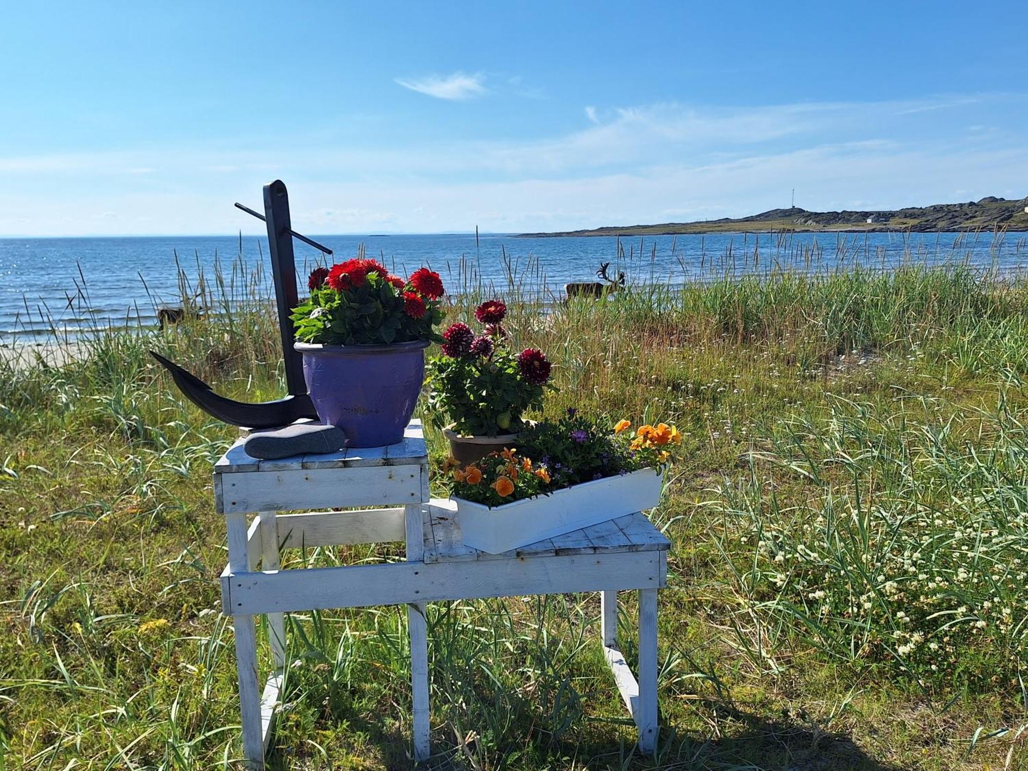 Feriehus Ved Barentshavet - Holiday Home By The Barents Sea Ytre Kiberg Exterior photo
